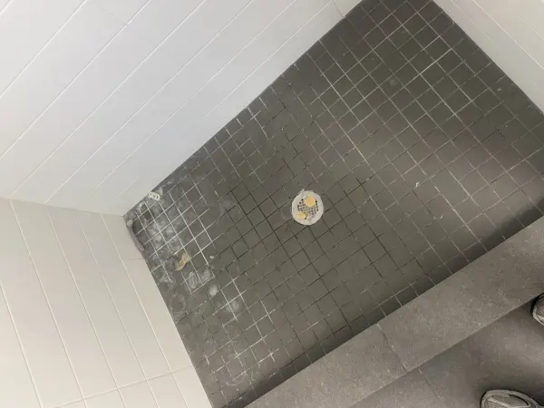 Deep Cleaning — Walk-In Shower before or service detail